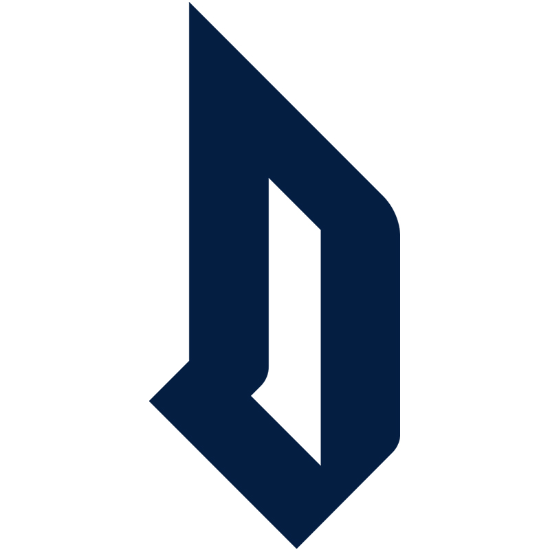 Duquesne Dukes iron ons